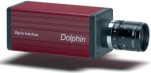AVT - Allied Vision Dolphin Series CCD Cameras